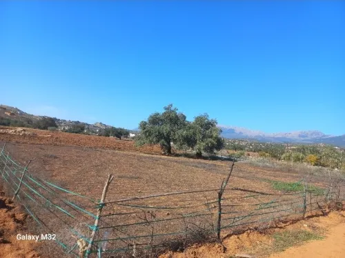 Vente Terrain Bouira El adjiba