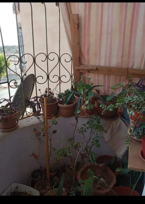 Vente Appartement F3 Mostaganem Kheireddine