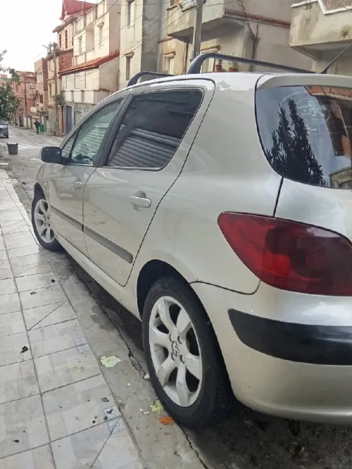 Peugeot 307 2006 307