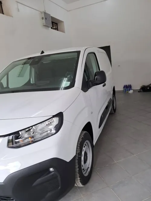 Fiat Doblo Van 2025 Professional