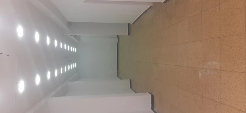 Location Local Alger Kouba