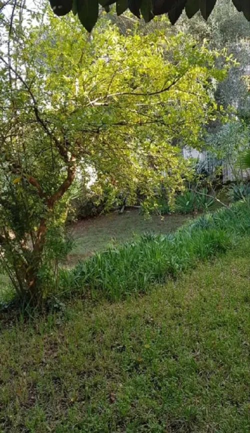 Vente Villa Alger Rouiba