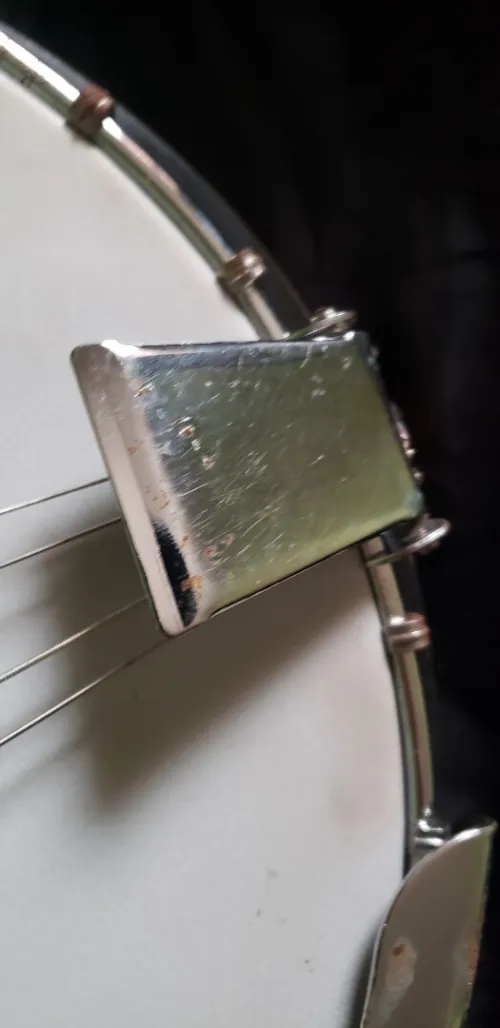 Banjo 6cords