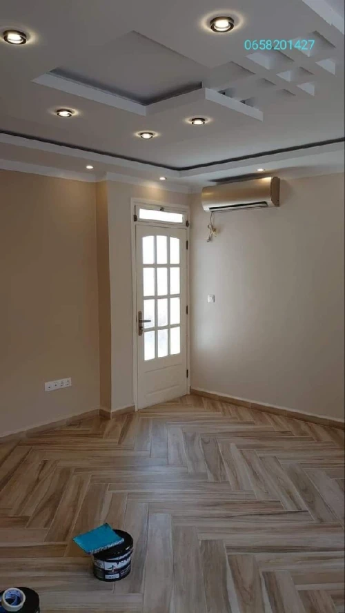 Peintre professionnel 