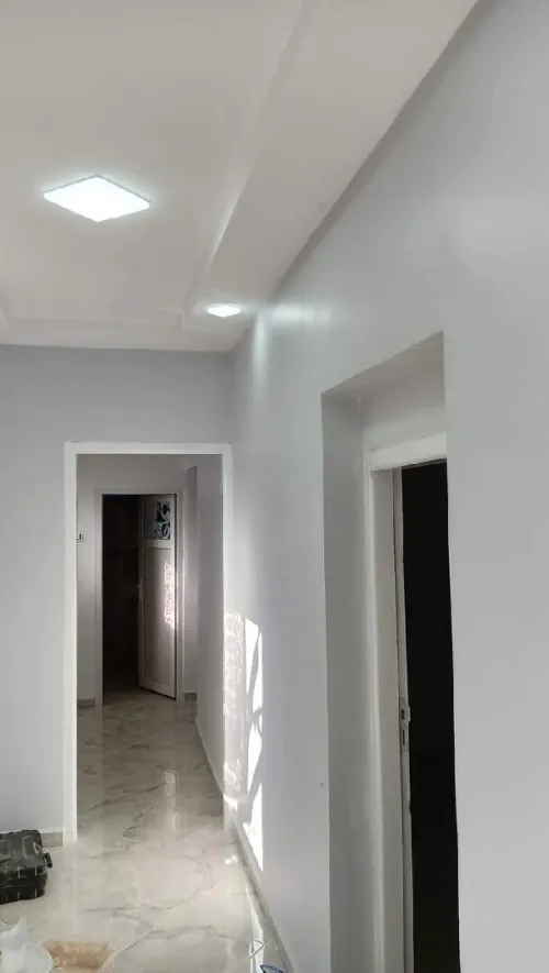 Peintre professionnel 