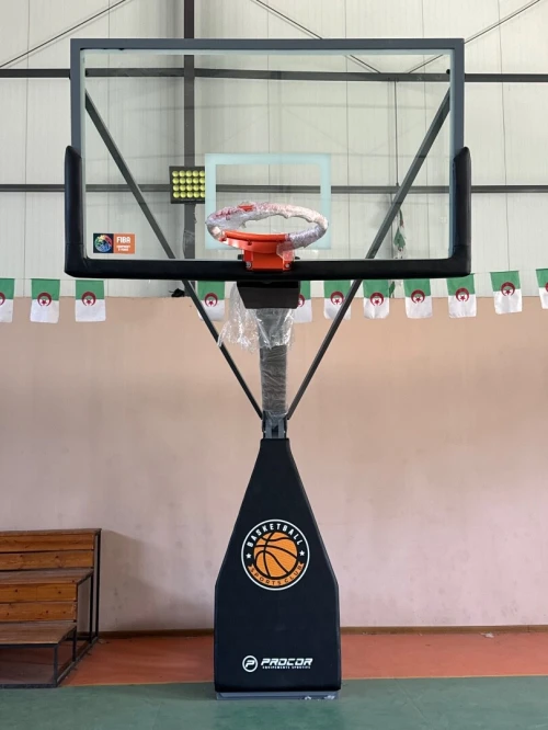 Paire de Panier de basket ball