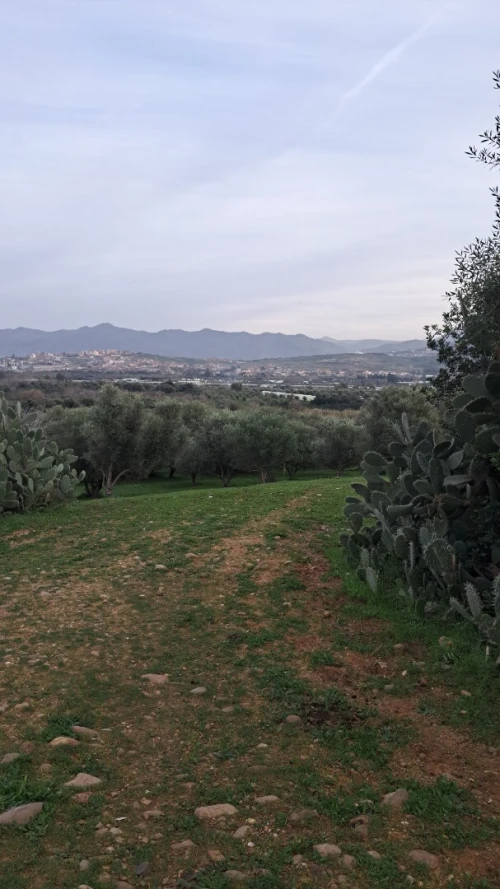 Vente Terrain Agricole Jijel Emir abdelkader