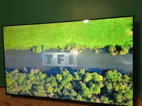 Télévision stream 58 pouce