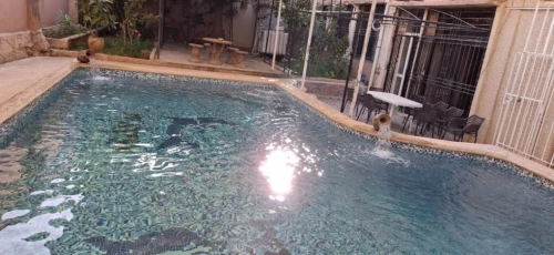 Location Appartement Alger Ain benian