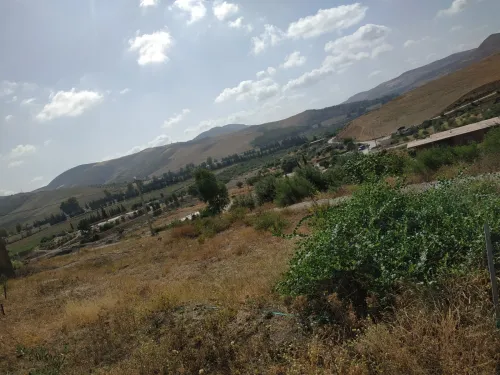 Vente Terrain Mila Ferdjioua