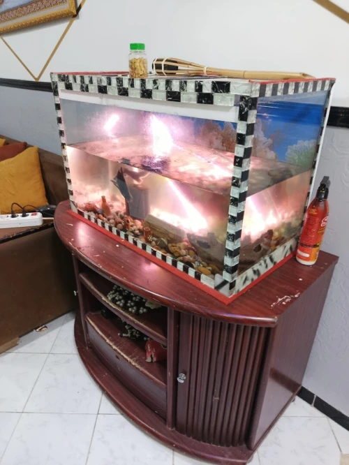 Aquarium grande