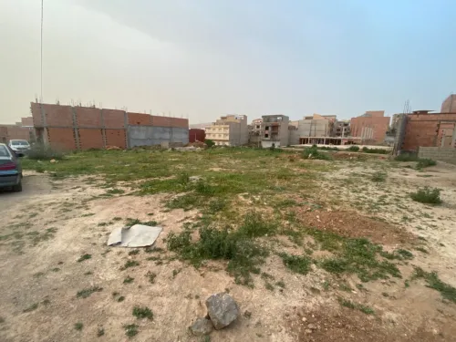 Vente Terrain Tlemcen Tlemcen
