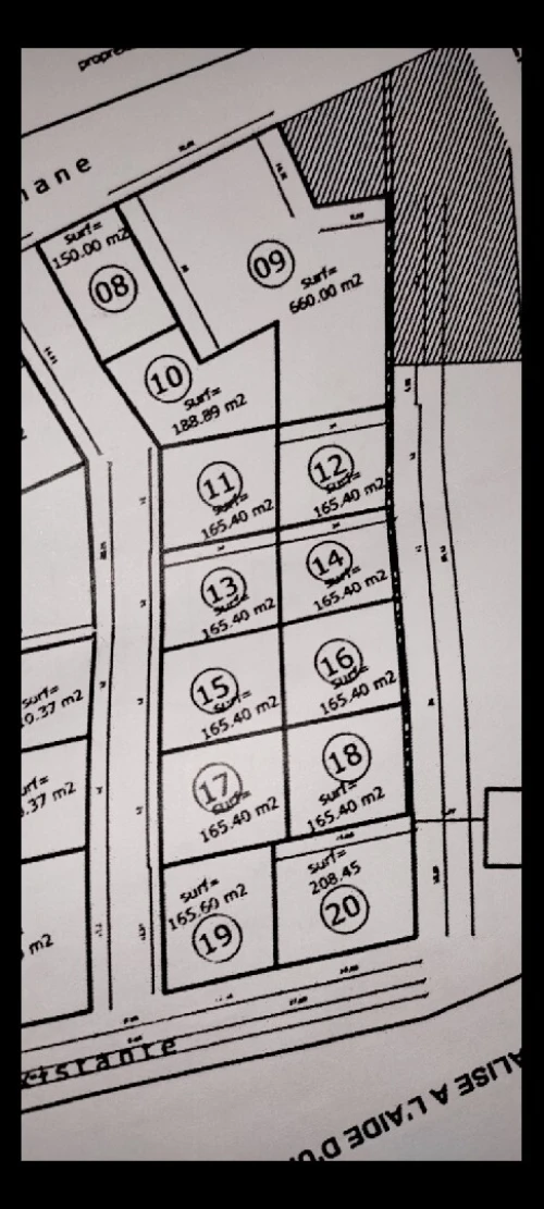 Vente Terrain Naâma Mecheria