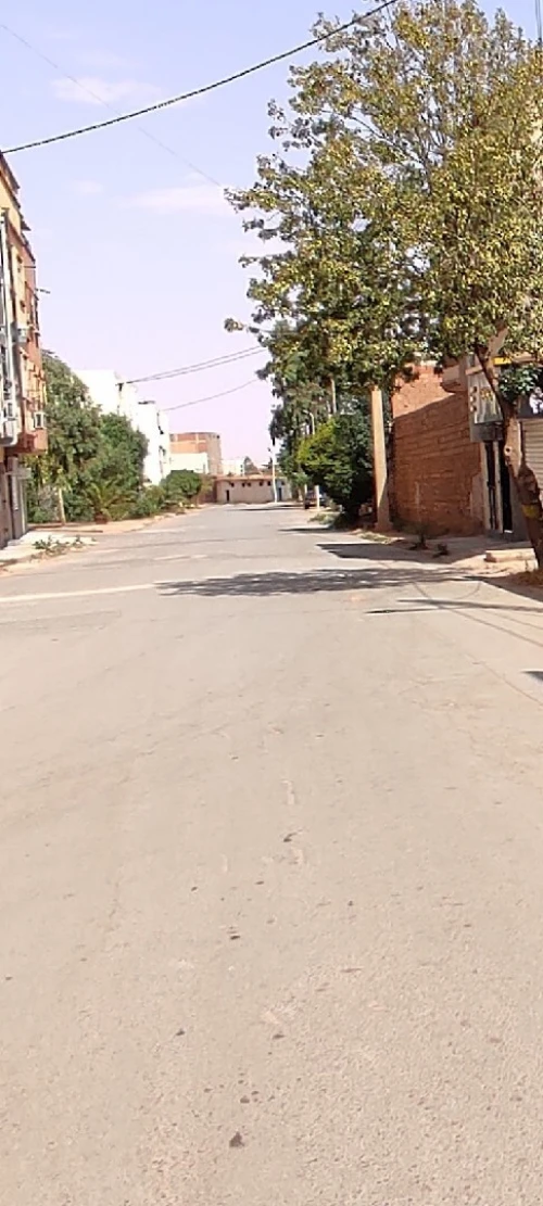 Vente Terrain Naâma Mecheria