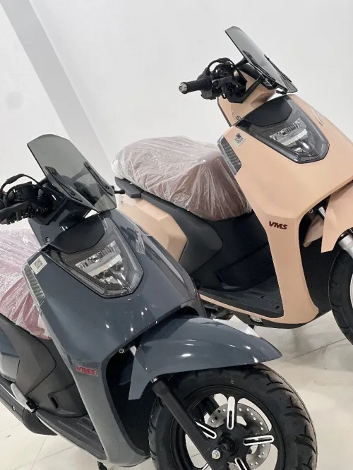 Vms Gemma 2025