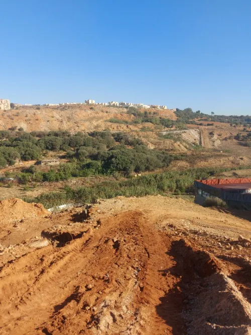 Vente Terrain Alger Cheraga
