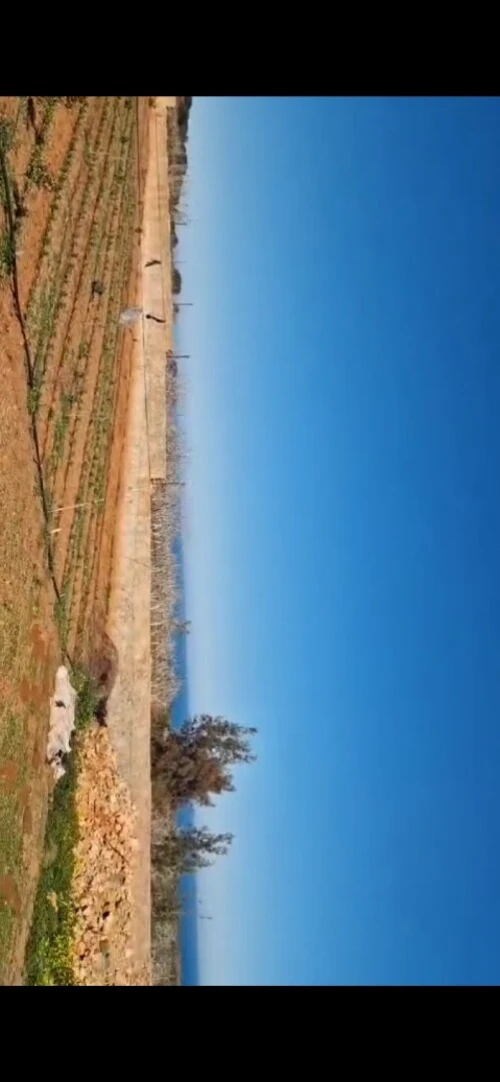 Vente Terrain Mostaganem Hadjadj