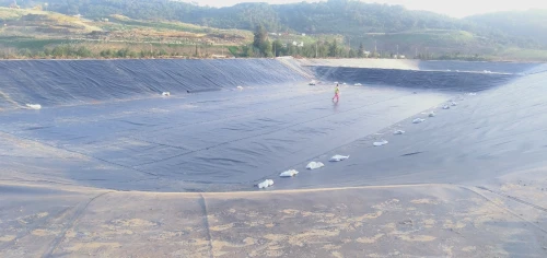  Geomembrane
