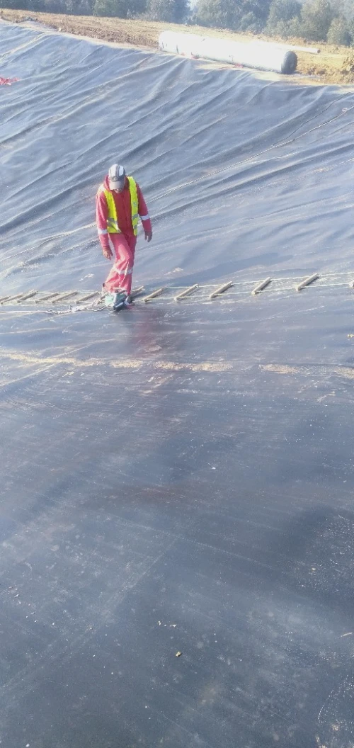  Geomembrane