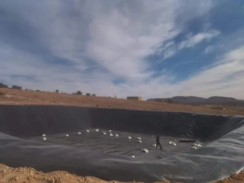 Geomembrane geocomposites, géotextiles