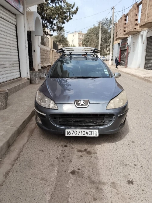 Peugeot 407 2004 407