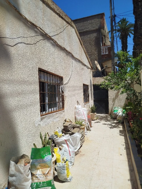 Vente Terrain Alger Bordj el bahri