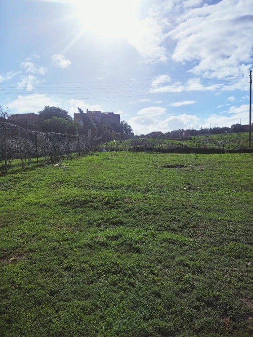 Vente Terrain Chlef Chlef