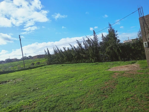 Vente Terrain Chlef Chlef