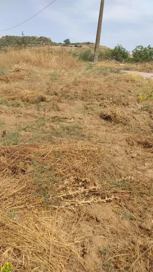 Vente Terrain Tizi Ouzou Tizi rached