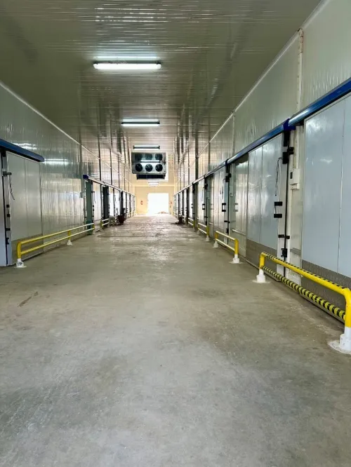 Chambres froide à louer 
