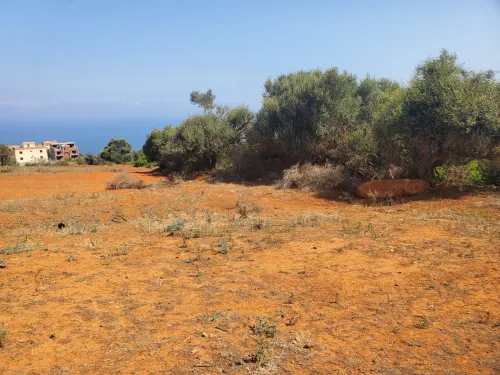 Vente Terrain Tipaza Ain tagourait