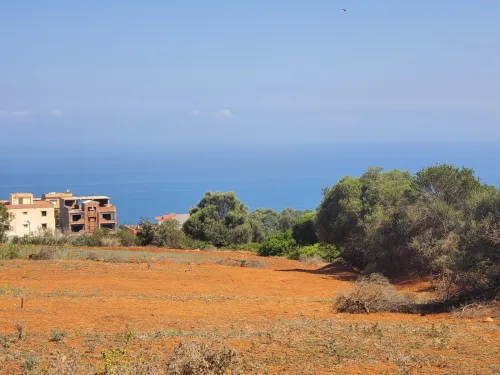 Vente Terrain Tipaza Ain tagourait