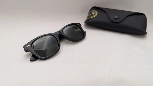 Wayfarer polarized noir