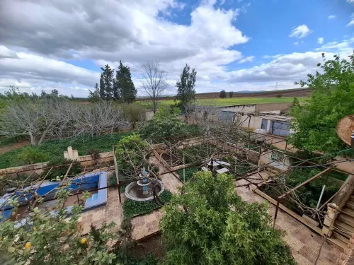 Vente Terrain Agricole Aïn Defla Ain soltane