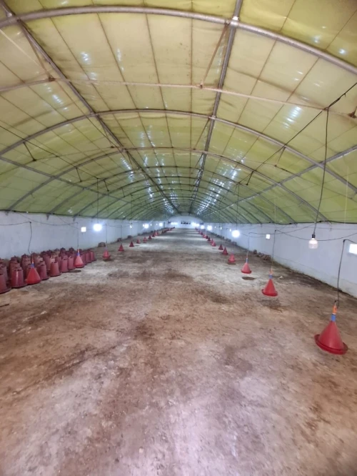 Vente Terrain Agricole Aïn Defla Ain soltane