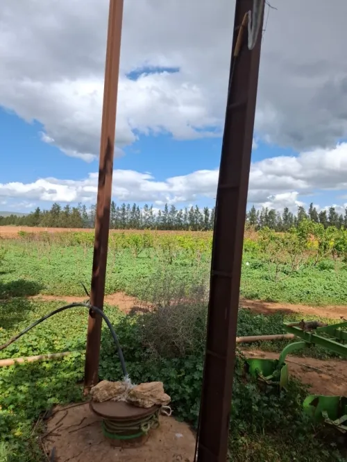 Vente Terrain Agricole Aïn Defla Ain soltane