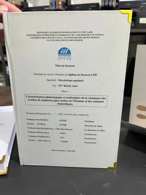 Centre de Copie & Impression (flyer , scan , service)