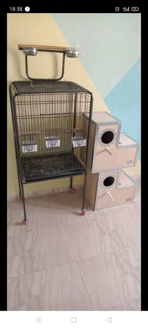 Cage 