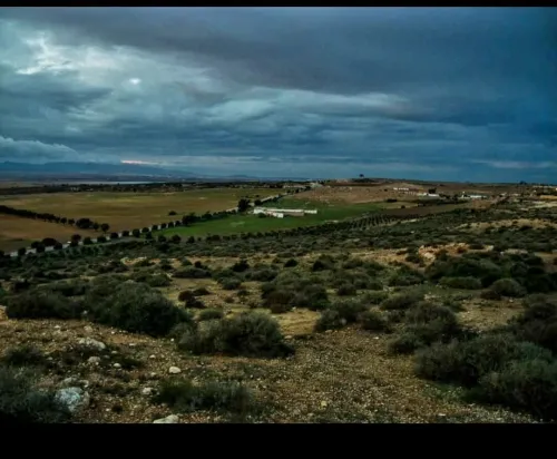 Vente Terrain Agricole Oran Gdyel