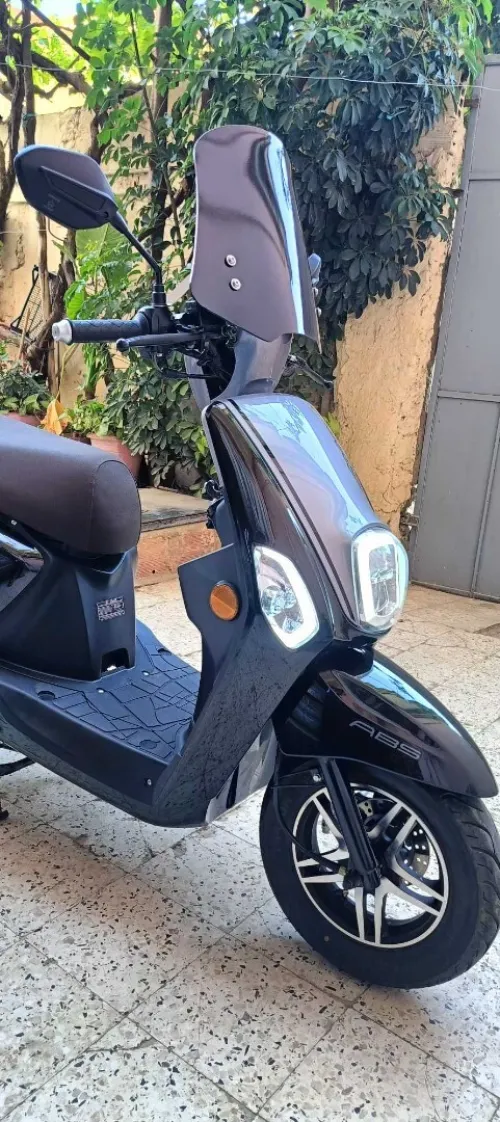 Coxi Okinoi 2025