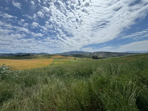 Vente Terrain Tizi Ouzou Azazga