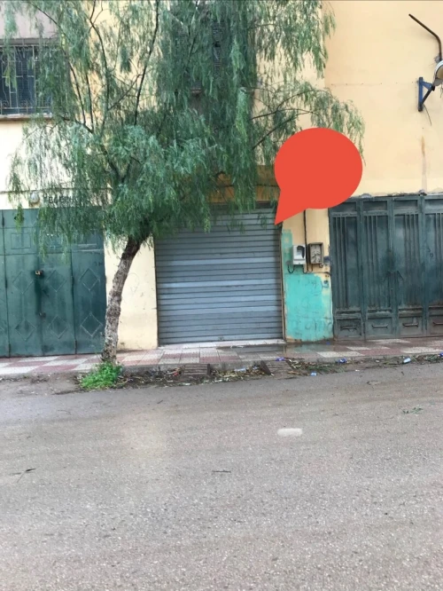Vente Appartement F4 Tlemcen Maghnia