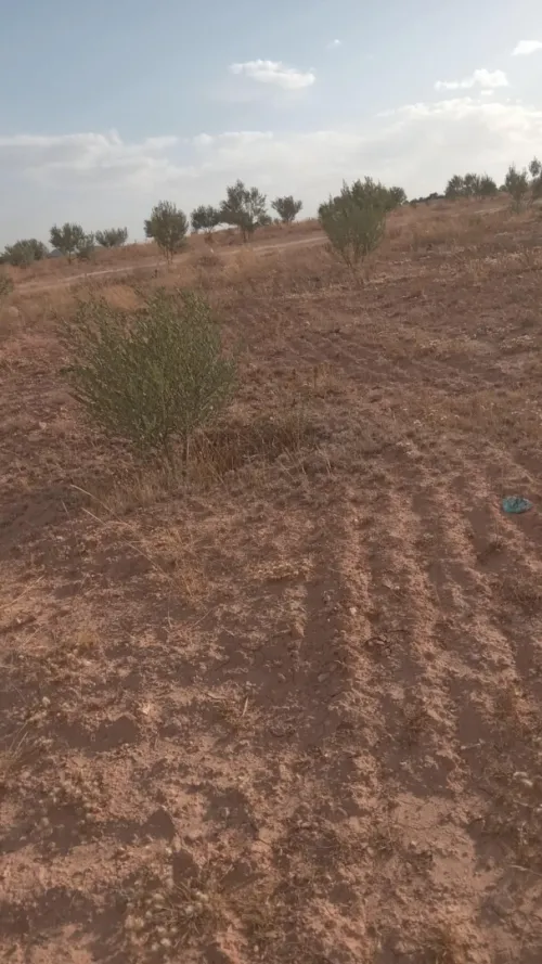 Vente Terrain Agricole Bouira Ahl el ksar