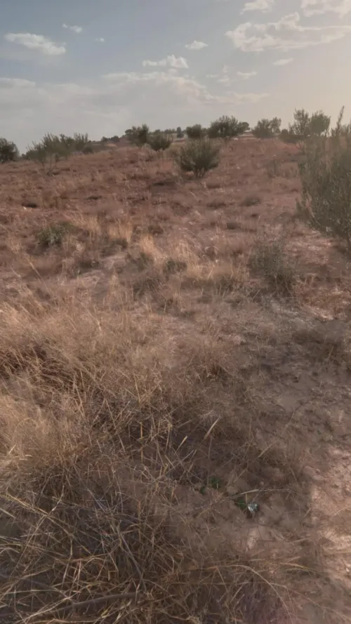Vente Terrain Agricole Bouira Ahl el ksar
