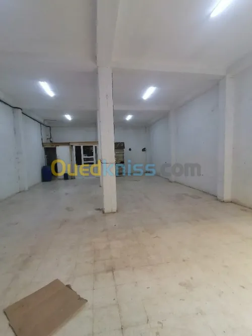 Location Hangar Alger Gue de constantine