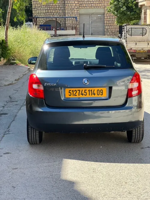 Skoda Fabia 2014 Visage