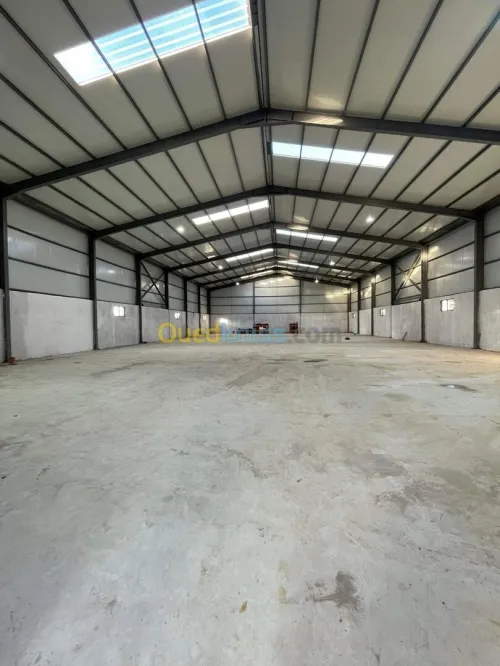 Location Hangar - Usine Alger Birtouta