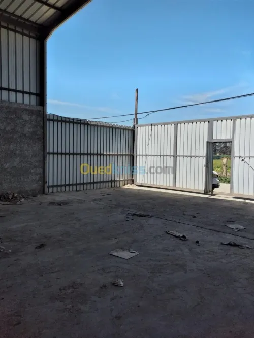 Location Hangar - Usine Alger Birtouta