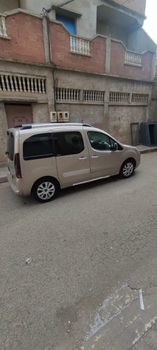Citroen Berlingo Multispace 2009 Berlingo Multispace