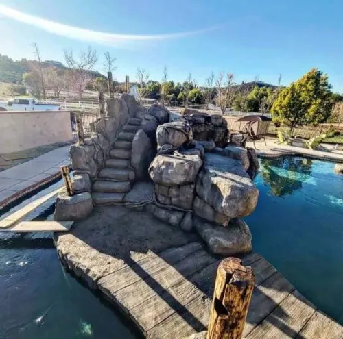 Cascade aquarium 
